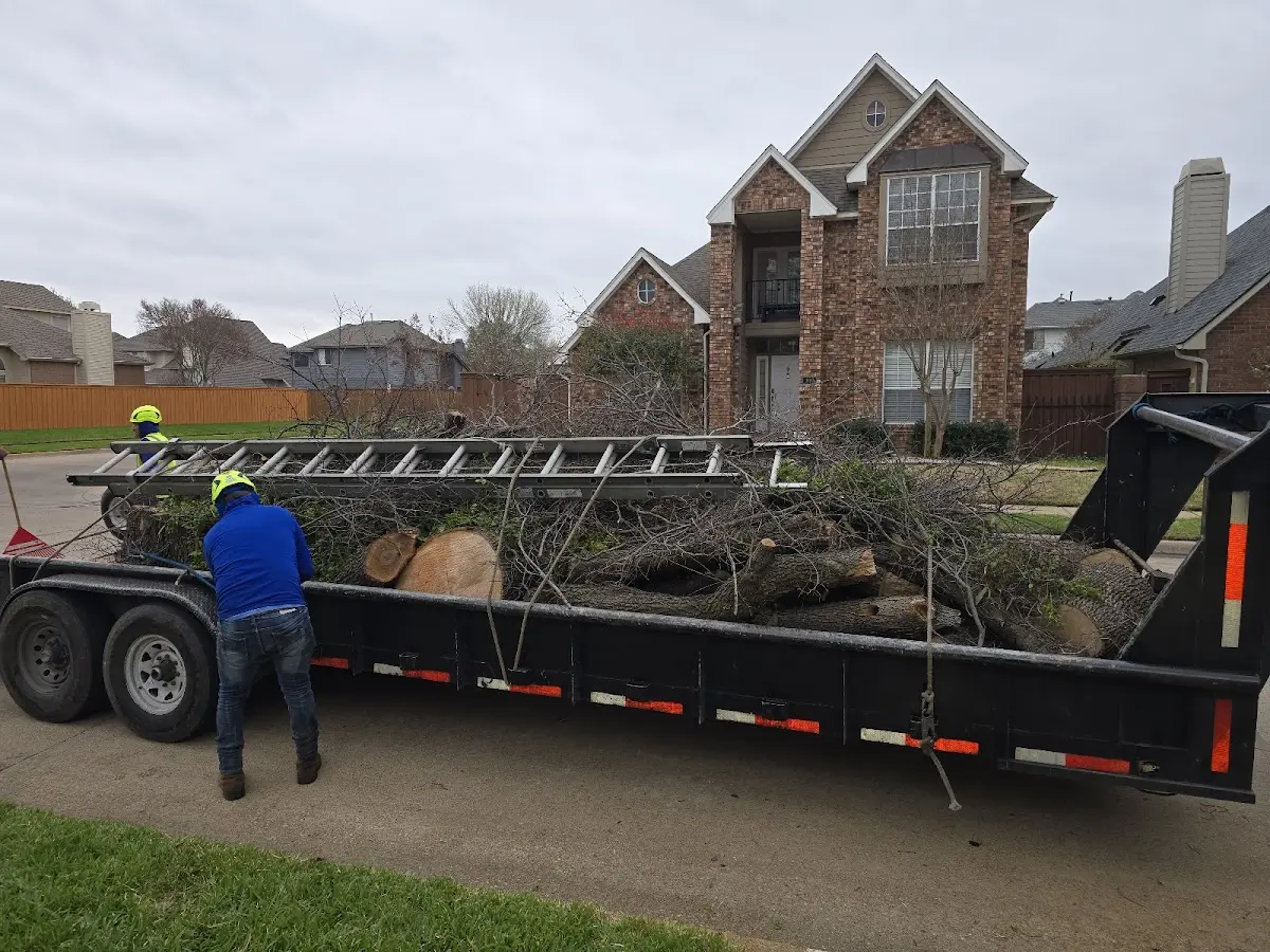 Expert Lot Clearing with proper safety equipment in Pollock